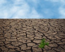 Desertificazione: in Europa persi $28 miliardi a causa della siccità